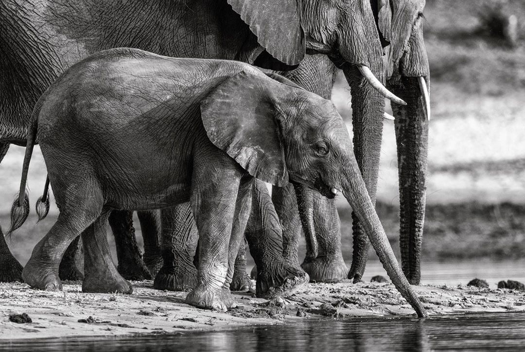 AFRICA - INDIANA EXPERIENCES - VIAJES A MEDIDA Y LUJO AFRICA - INDIANA EXPERIENCES - VIAJES A MEDIDA Y LUJO