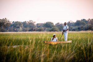 Sanctuary Chief's Camp - Botswana - The Indiana Travel Experiences