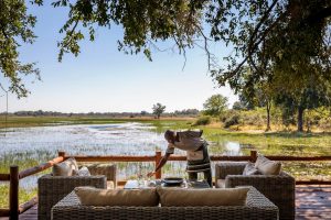 Sanctuary Chief's Camp - Botswana - The Indiana Travel Experiences