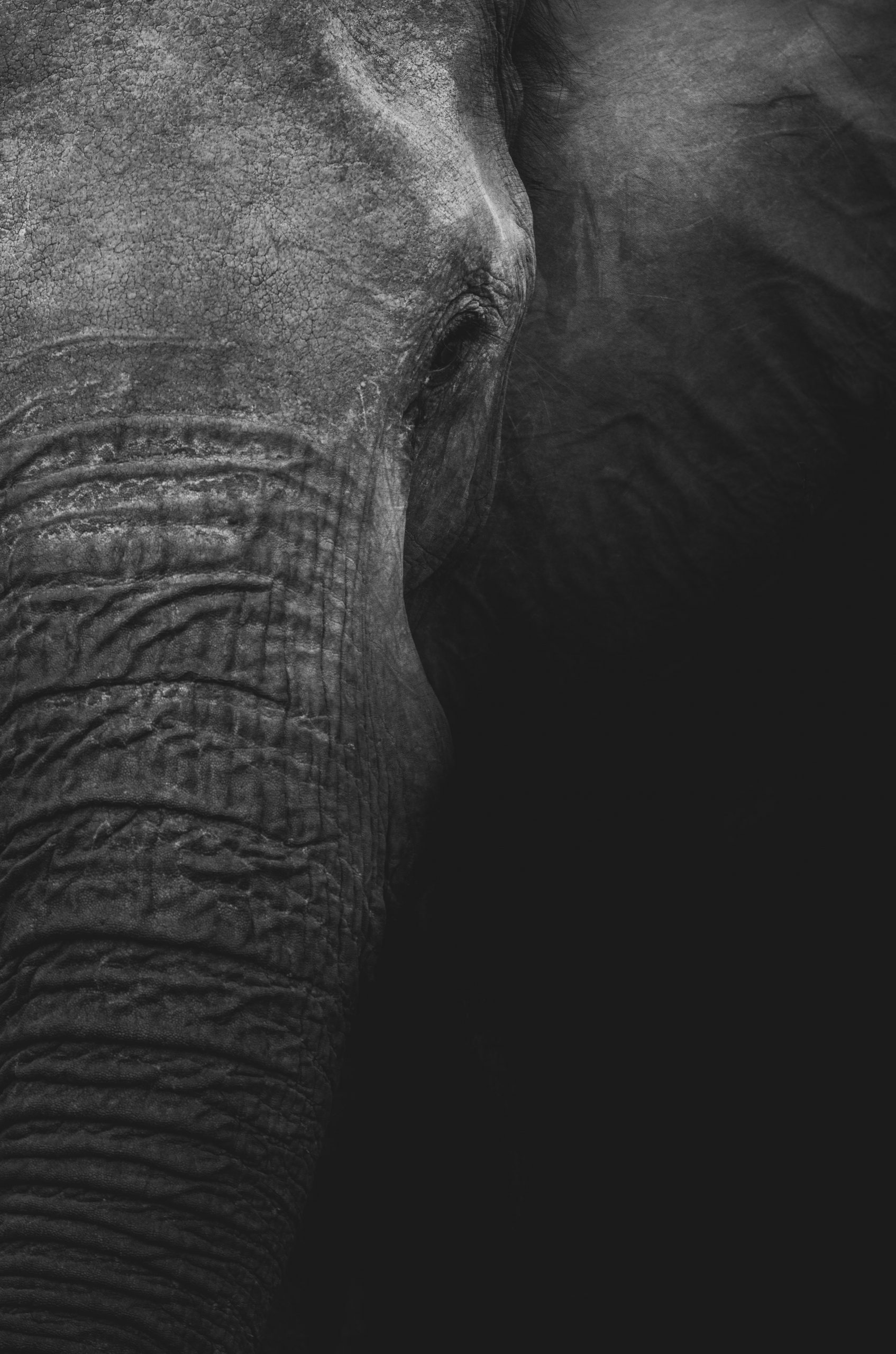Viajes a Botswana - Tras la senda de los Elefantes - The Indiana Travel Experiences