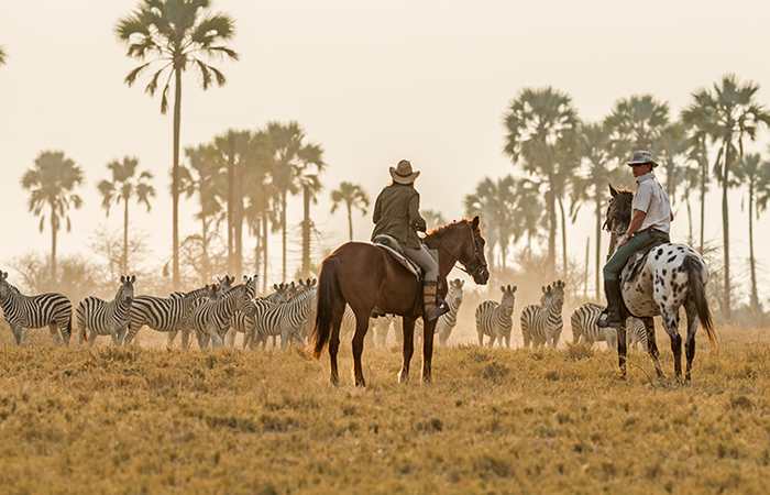 Botswana in Style. Safari en Botswana - The Indiana Travel Experiences