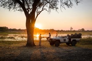 Sanctuary Chief's Camp Safari- Botswana - The Indiana Travel Experiences