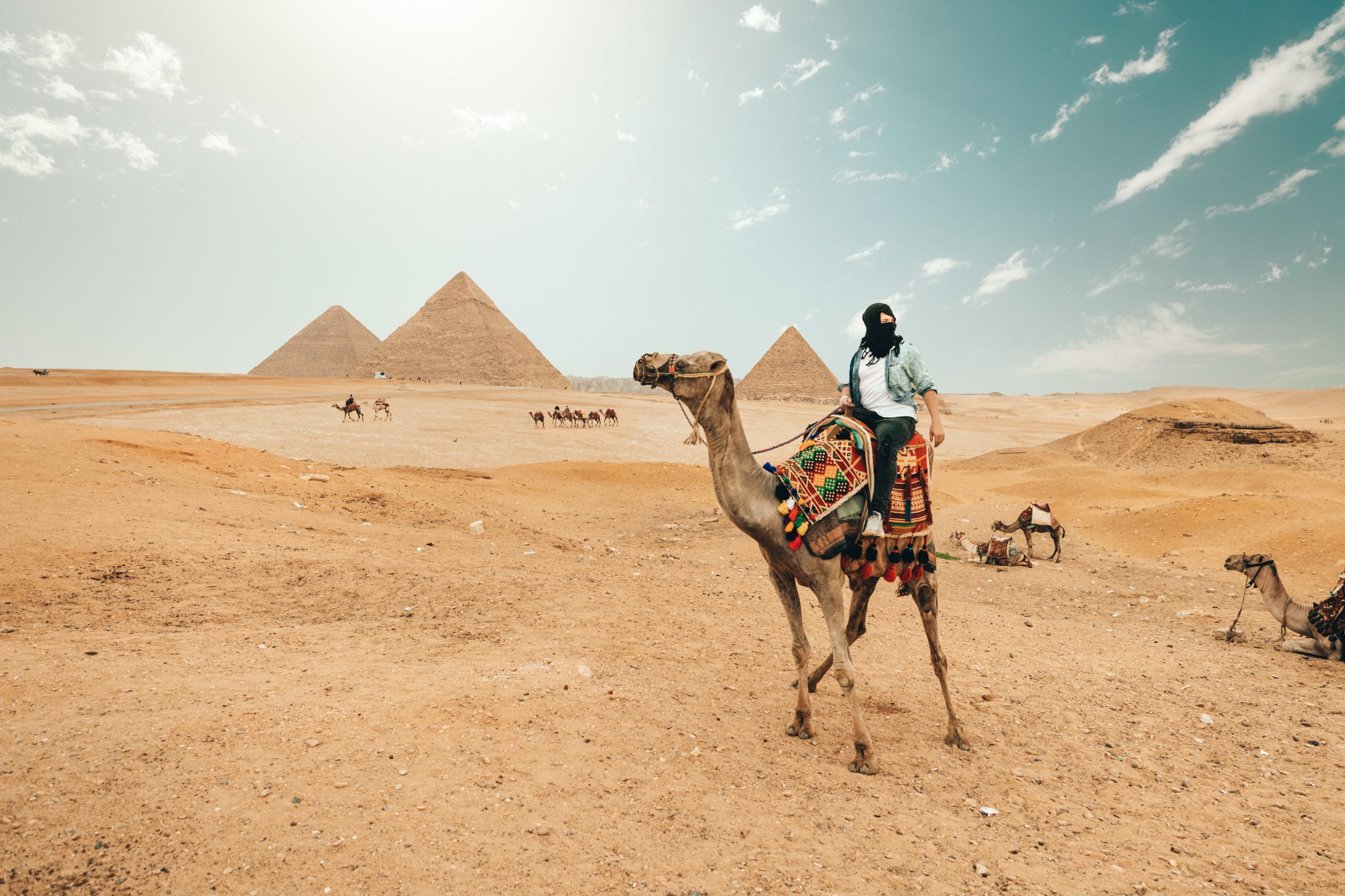 EGIPTO SINGLES SOLO - THE INDIANA TRAVEL