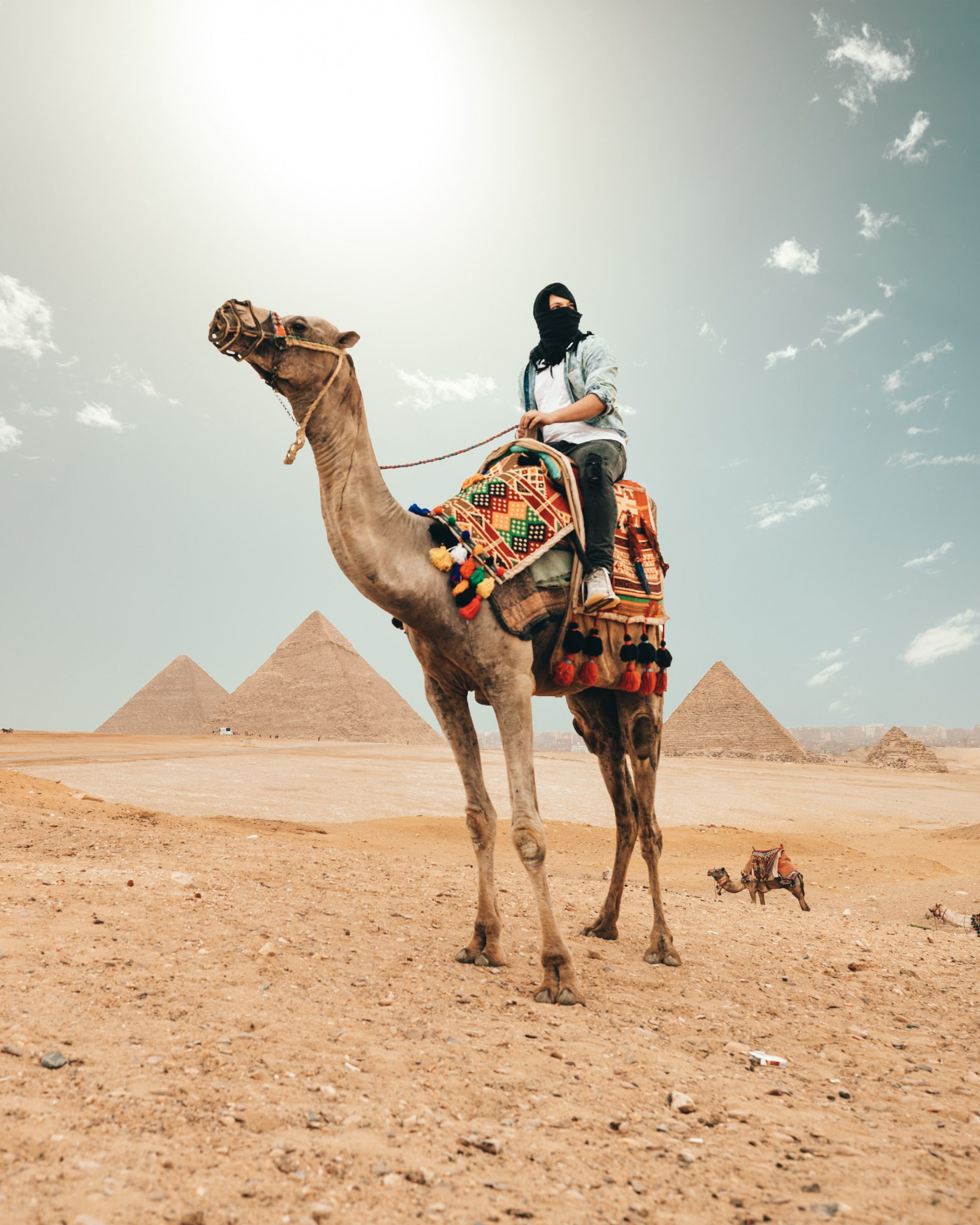 EGIPTO SINGLES - THE INDIANA TRAVEL