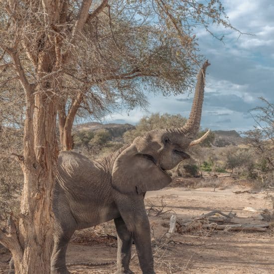 NAMIBIA - INDIANA TRAVEL