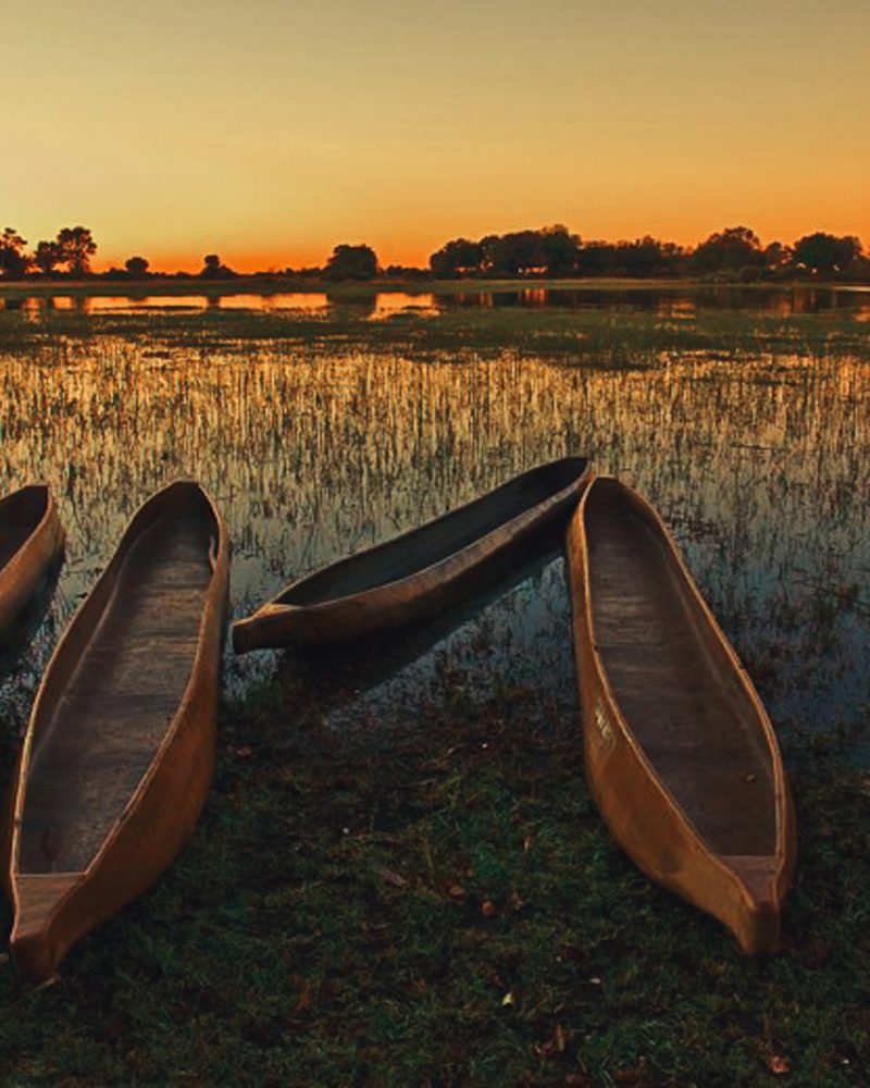 Atardecer en el Delta del Okavango - Mujer y viajera Atardecer en el Delta del Okavango - Mujer y viajera