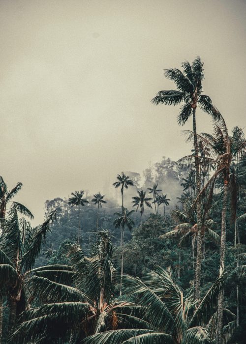 COLOMBIA -INDIANA TRAVEL