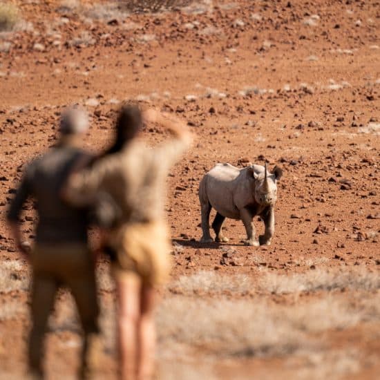 NAMIBIA - INDIANA TRAVEL