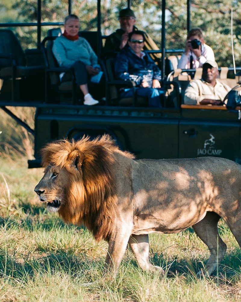 Jao Camp - Botswana - The Indiana Travel Experiences10 Jao Camp - Botswana - The Indiana Travel Experiences10