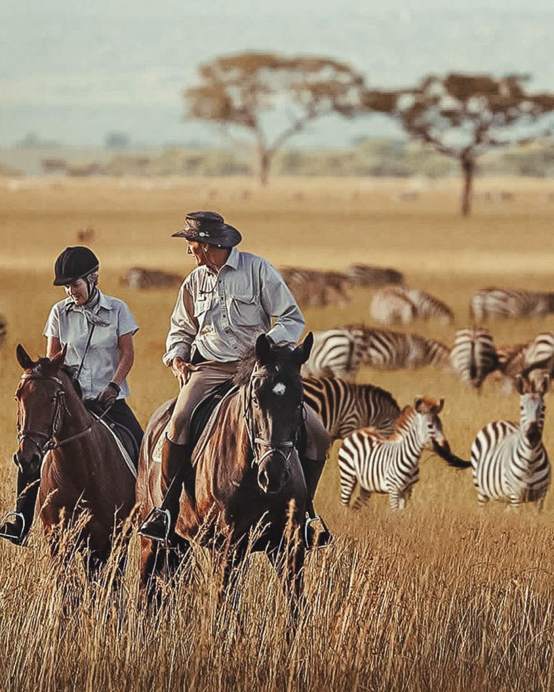 SAFARI EN CABALLO - THE INDIANA TRAVEL SAFARI EN CABALLO - THE INDIANA TRAVEL