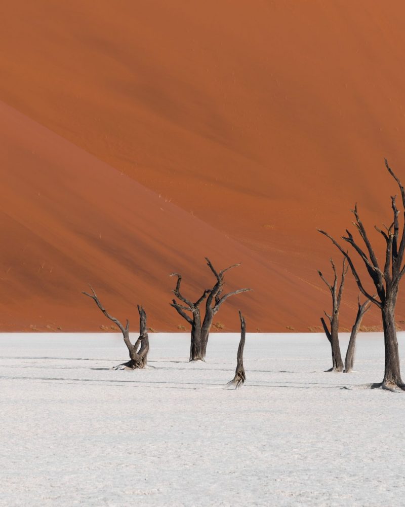 Viajes a Namibia - The Indiana Travel Experiences12 Viajes a Namibia - The Indiana Travel Experiences12