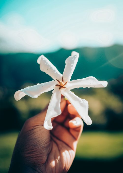 POLINESIA FRANCESA - INDIANA