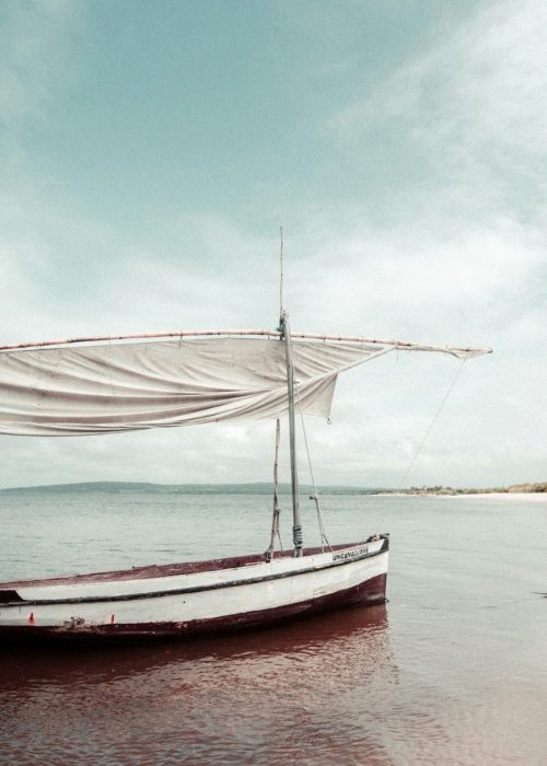 MOZAMBIQUE - INDIANA