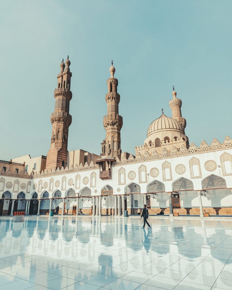 seif-amr-vjv3xVeDguA-unsplash seif-amr-vjv3xVeDguA-unsplash