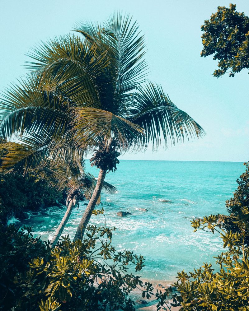 SEYCHELLES SEYCHELLES