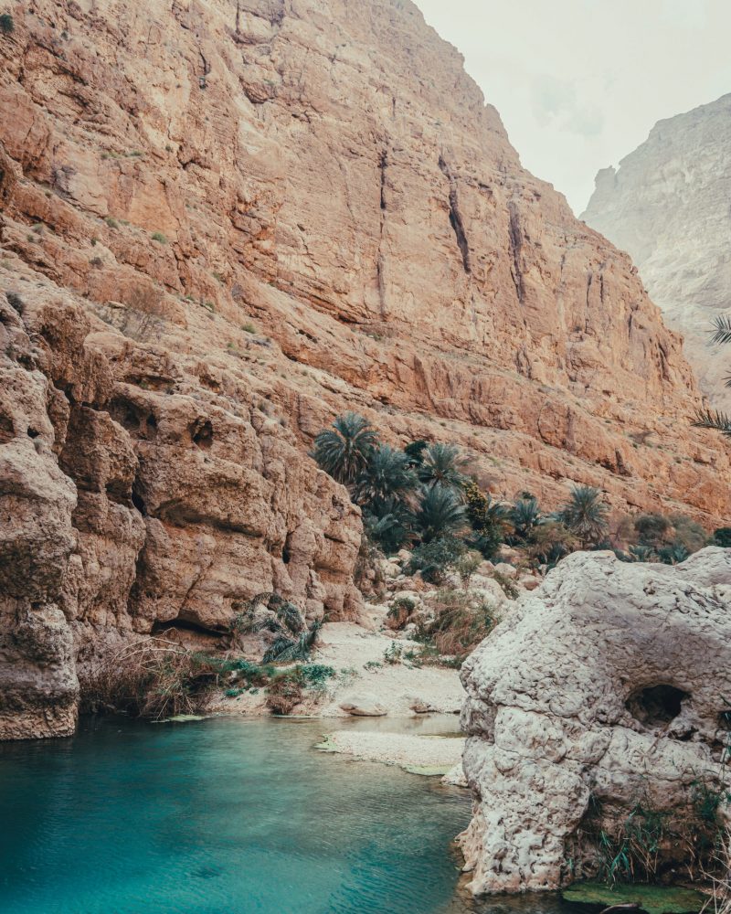 albert-canite-yuWwzDEm0TU-unsplash-2 albert-canite-yuWwzDEm0TU-unsplash-2