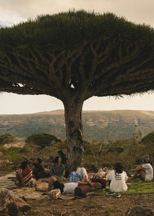 SMALL GROUPS - INDIANA TRAVEL