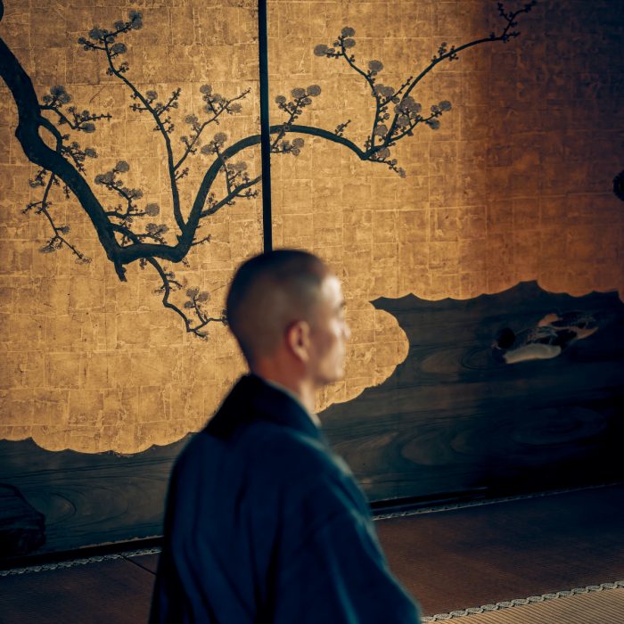 JAPON - INDIANA TRAVEL JAPON - INDIANA TRAVEL