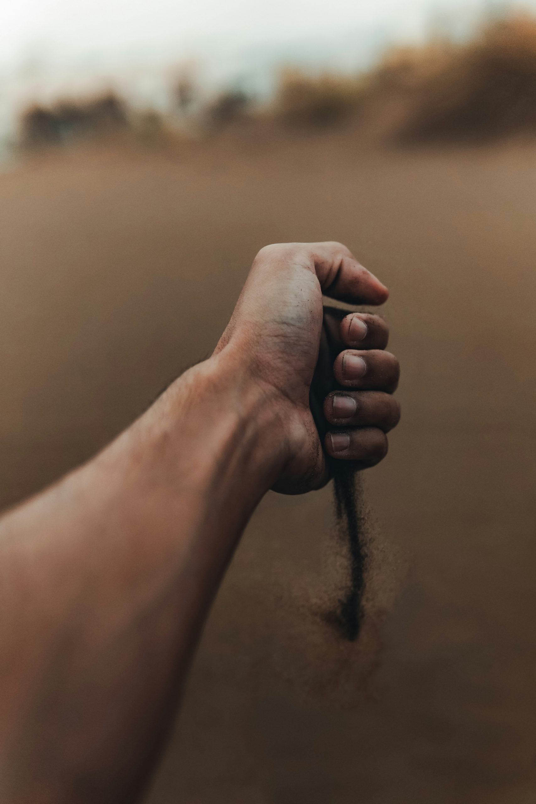 musab-al-rawahi-sYKSt78NkFw-unsplash