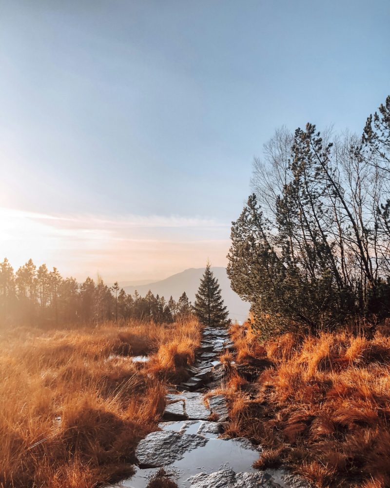 NORUEGA - INDIANA TRAVEL NORUEGA - INDIANA TRAVEL