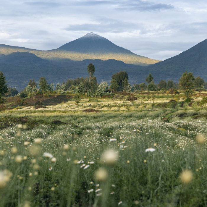 RUANDA - INDIANA TRAVEL RUANDA - INDIANA TRAVEL