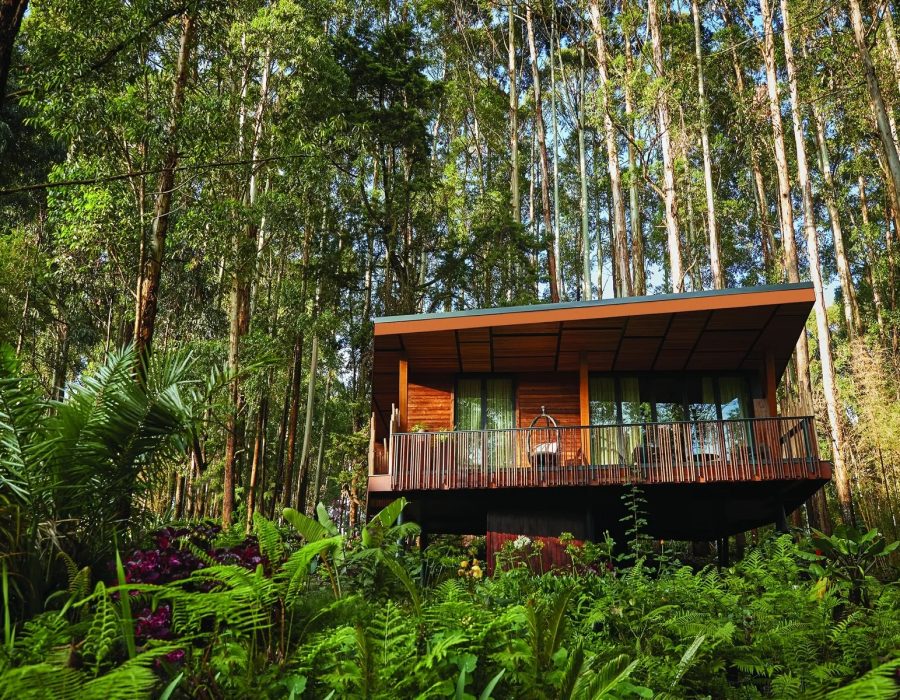 RUANDA - INDIANA TRAVEL