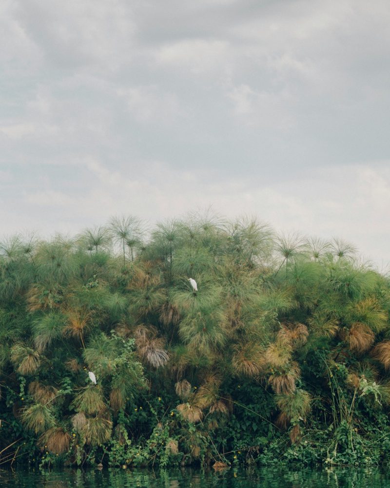 RUANDA - INDIANA TRAVEL RUANDA - INDIANA TRAVEL