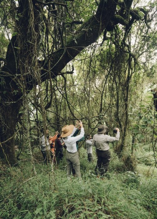 UGANDA -INDIANA TRAVEL